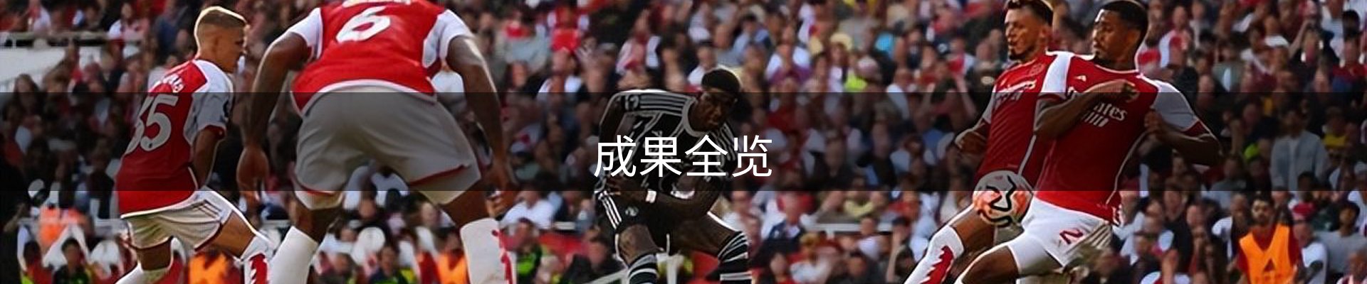 成果全览